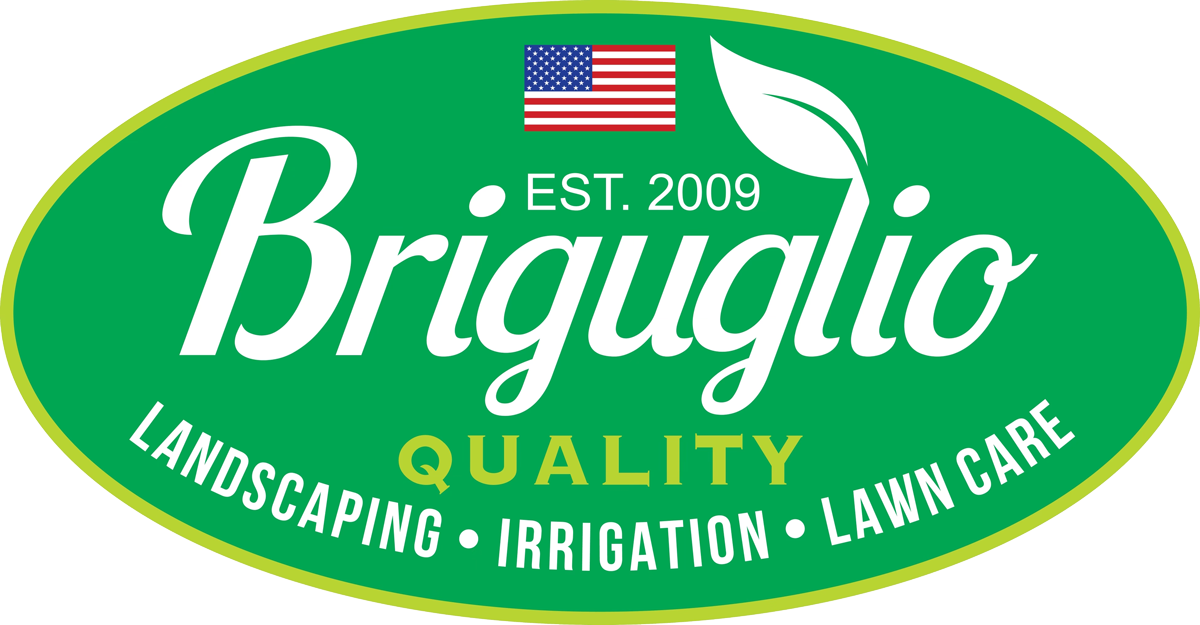 Briguglio Quality Cuts